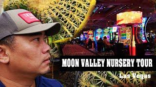 Tour of Moon Valley Nursery in Las Vegas - What trees make for good bonsai in the desert?