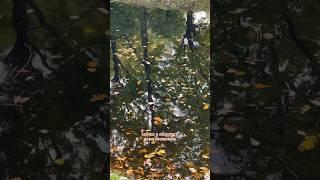 Всегда думала, что я домосед