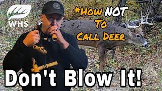 #1 Rule For Calling Deer