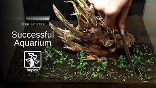 How to Set Up a Successful Aquarium with Tropica Aquarium Plants