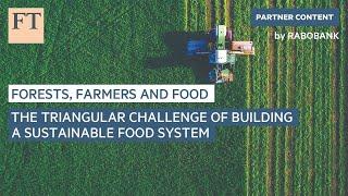 The triangular challenge of building a sustainable food system  | FT Food Revolution