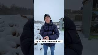 Никогда не стройте каменный дом! #хочуврек