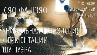 Ферментация ШУ ПУЭРА водуй. Часть 2.  СЯО ФА ЦЗЯО, ферментация в корзине. Podarkivostoka