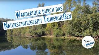 Zu Fuß durchs Taubergießen – Wandertour im Naturschutzgebiet am Oberrhein