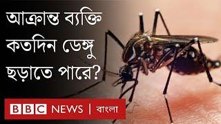 Dengue: এডিস মশা কামড়ানোর কতদিন পর ডেঙ্গু জ্বর হয়?