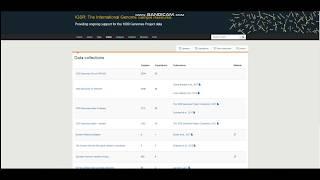 САЙТ IGSR - The International Genome Sample Resource. Работа с сайтом, краткая информация