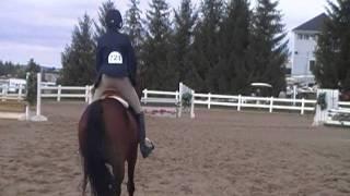 Miss Congeniality - Large Hunter Pony Over Fences