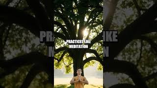 Path to Minimalist Mindfulness