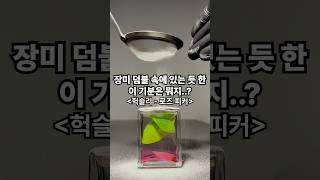 장미 덤불 속에 있다면 이런 기분??