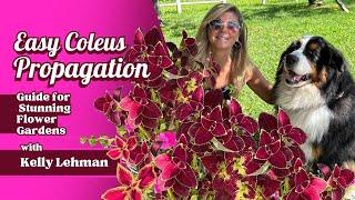 Easy Coleus Propagation Guide for Stunning Flower Gardens | Kelly Lehman