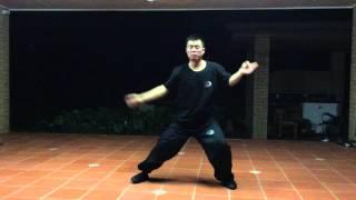 Master Su's Tai Chi Demo 01