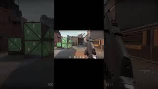 New Valorant Agent VYSE 'Q' Ability #valoranr