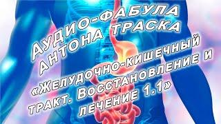 Желудочно-кишечный тракт. Восстановление и лечение. Версия 1.1