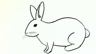 How to draw a  rabbit or bunny- in easy steps advanced tutorial