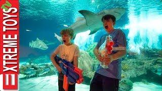 Teleport Trouble Part 2! Nerf Battle in the Aquarium!