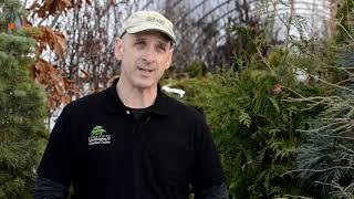 Buy Here Business Spotlight: Iowa City Landscaping and Gardening Center