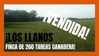 Finca de 260 tareas Con vocación Ganadera y Agrícola en los Llanos