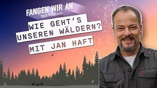 Wie geht’s unseren Wäldern? - mit Jan Haft | Fangen wir an Podcast