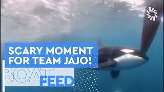 ORCA ENCOUNTER AT GIBRALTAR FOR TEAM JAJO | The Ocean Race