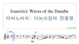 이바노비치: 다뉴브강의 잔물결 (바이올린) Ivanovici: Waves of the Danube (Violin)