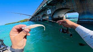 UNCUT Florida Keys Kayak Fishing | Jerk Shads vs. Scented Lures Experiment