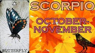 SCORPIO- YOU'RE A MAGNET OF ATTRACTION! (OCTOBER-NOVEMBER *MABON-SAMHAIN*)