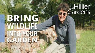 How to encourage wildlife into your garden | Sir Harold Hillier Gardens