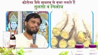 करन Corona जैसे वयरस स बच सकते  तुलसी व गलय Acharya Balkrishna