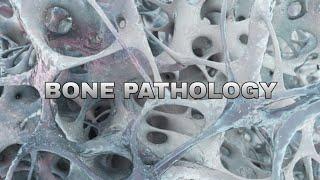 Bone pathology 4th lecture