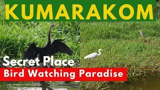 Kerala Bird Watching  ( Part 1 )  / Secret Place / KUMARAKOM Bird Watching Paradise