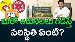 జగన్‌ రాకపోయినా..మరో ఆరు నెలలు గడిస్తే ఏంటి? || AP PRIDE