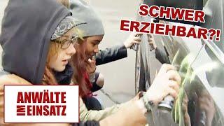 Schwer erziehbar! Girl-Gang besprüht Auto von Direktor!  | 1/2 | Anwälte im Einsatz | SAT.1