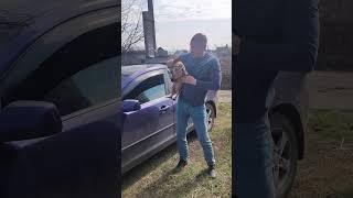 Дачный сезон открыт. Всех поздравляю  #прикол #дача