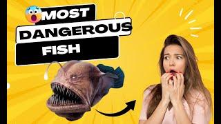 top10 most dangerous fish in the world  |Most dangerous fish in the sea