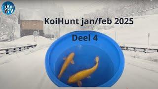 KoiHunt jan/feb 2025 deel 4 | Ooya- Izumiya- Marusaka- evenement