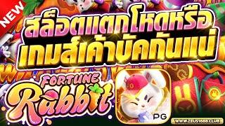 สล็อตเว็บตรงแตกง่าย สล็อตวอเลทแตกง่าย สล็อตเว็บตรง | Fortune Rabbit