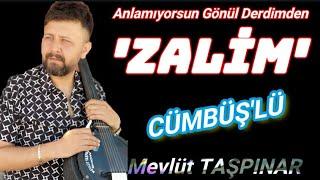 Zalim (Anlamıyorsun Gönül Derdimden) | Cümbüş'lü - MEVLÜT TAŞPINAR | Cover #cümbüş #arabesk