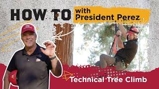 How to Tree Climb With Chico State's President