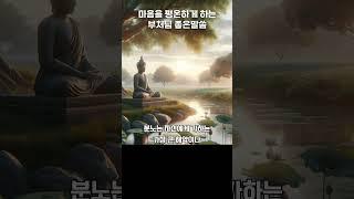  내면의 평화로 가는 길  #부처핸접 #mindfulness #meditation #부처님말씀 #평화