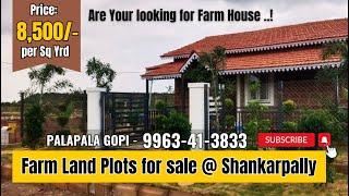 Royal Farm - Farm Plots for Sale in Hyderabad || Shankarpally || Farm land