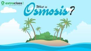 What is Osmosis | Extraclass.com