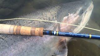 Pickle | Fly Fishing for Steelhead Film | Captain Quinn