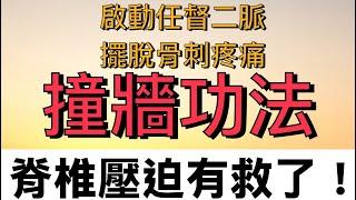 醫療太極：脊椎壓迫有救了！撞牆功法，啟動任督二脈，擺脫骨刺疼痛 #health