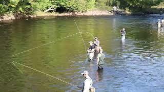 Salmon Run 2024 _ Salmon River ,NY ( lower fly Area)