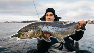 Das glaubt uns keiner: Monster-Fisch in der Stadt gefangen. Catch & Cook