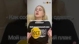 testum.org сервис для студентов