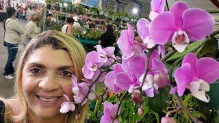 Área de Vendas - 58ª Exposição de Orquídeas em São Bernardo do Campo-SP