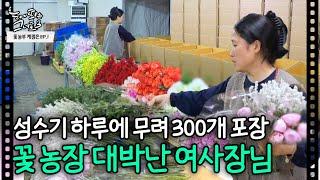 성수기 하루에 무려 300개 포장?? 꽃 농장 대박난 여사장님