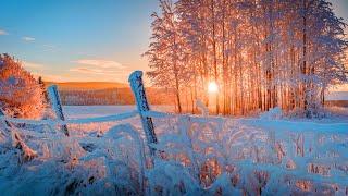  Beautiful Winter Relaxing Piano Music, Peaceful Soothing Instrumental Meditation Sleep Yoga Music