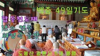 광륜사 백중 및 합동천도재 봉행 - 2023년 8월 5재